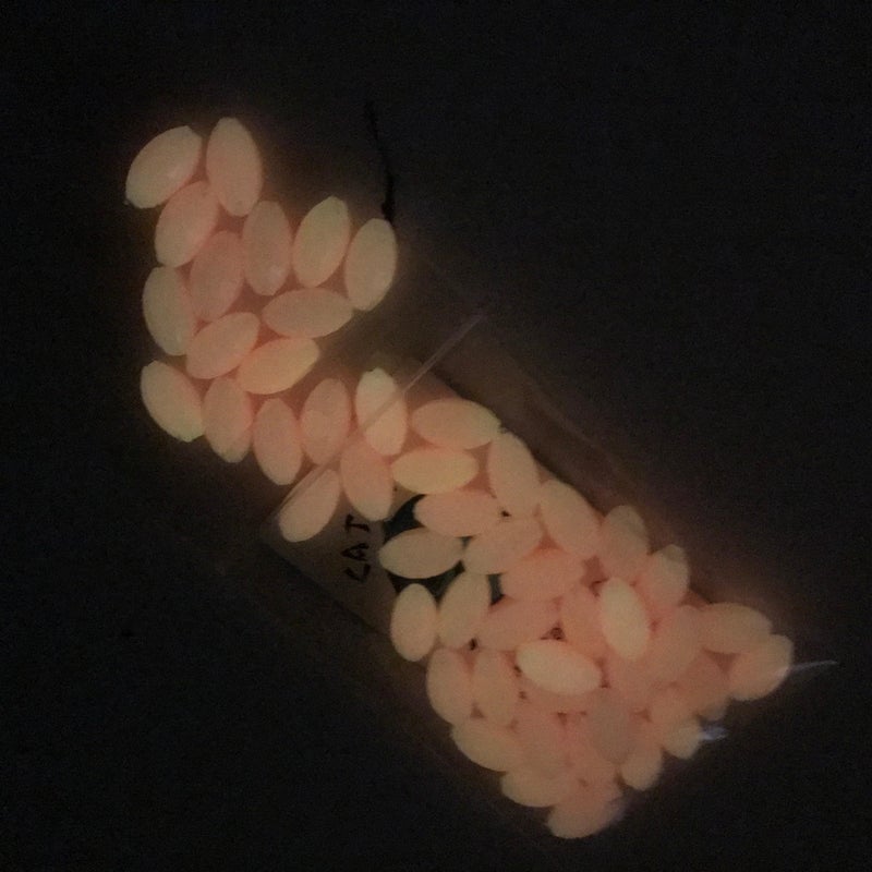 Catch All Tackle Luminous Glow Fishing Beads 3/8"" x5/8"" 50 Pieces Pink - Image 2